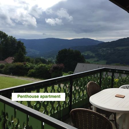 Le Green Chalet Villard-sur-Boege 외부 사진