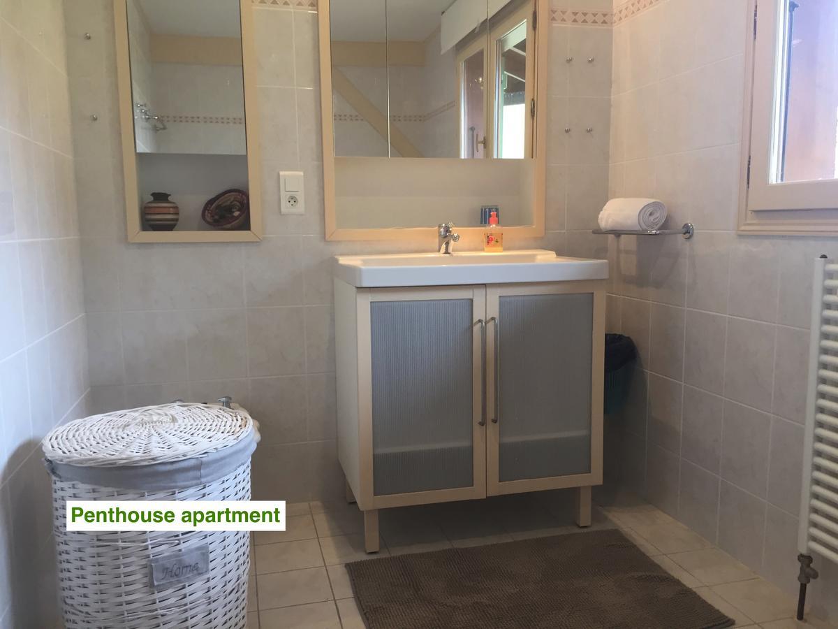 Le Green Chalet Villard-sur-Boege 외부 사진