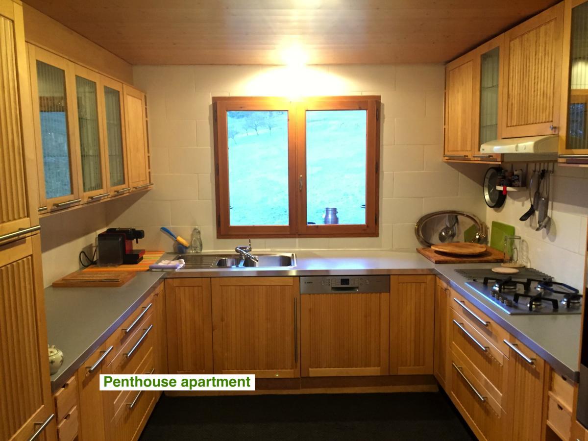Le Green Chalet Villard-sur-Boege 외부 사진