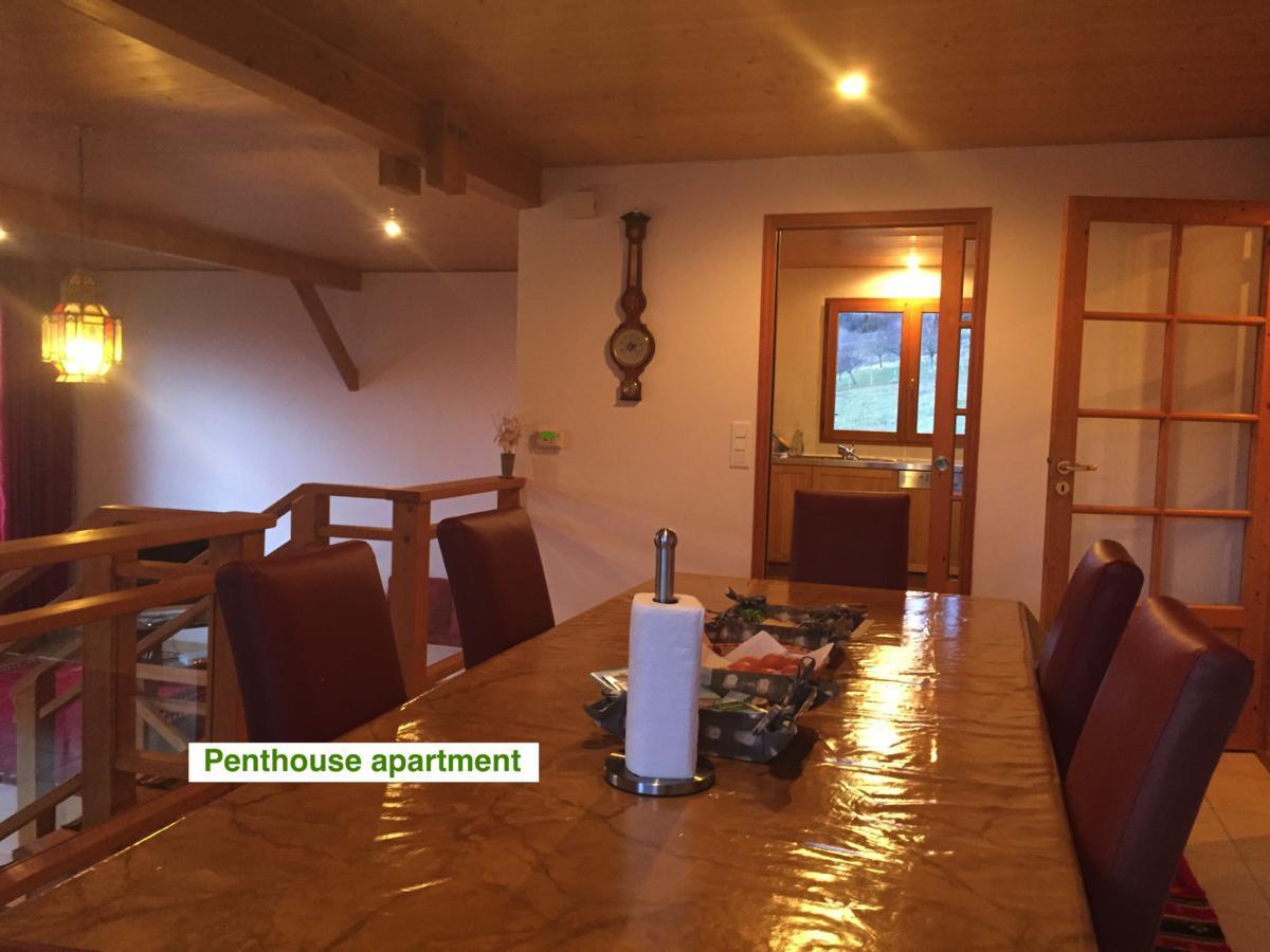 Le Green Chalet Villard-sur-Boege 외부 사진