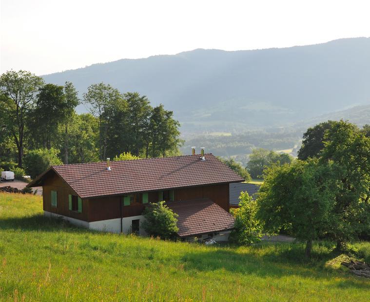 Le Green Chalet Villard-sur-Boege 외부 사진