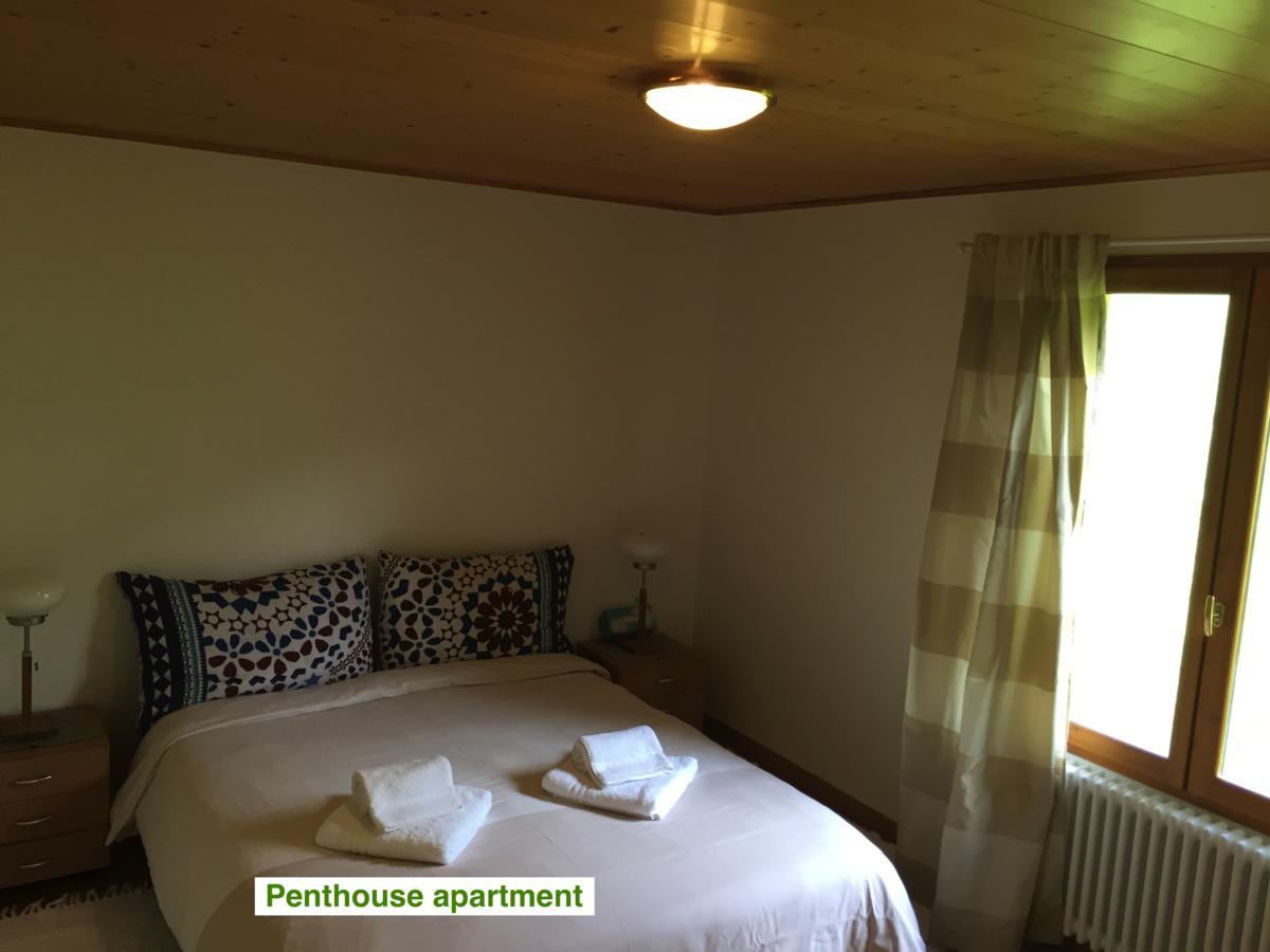 Le Green Chalet Villard-sur-Boege 외부 사진