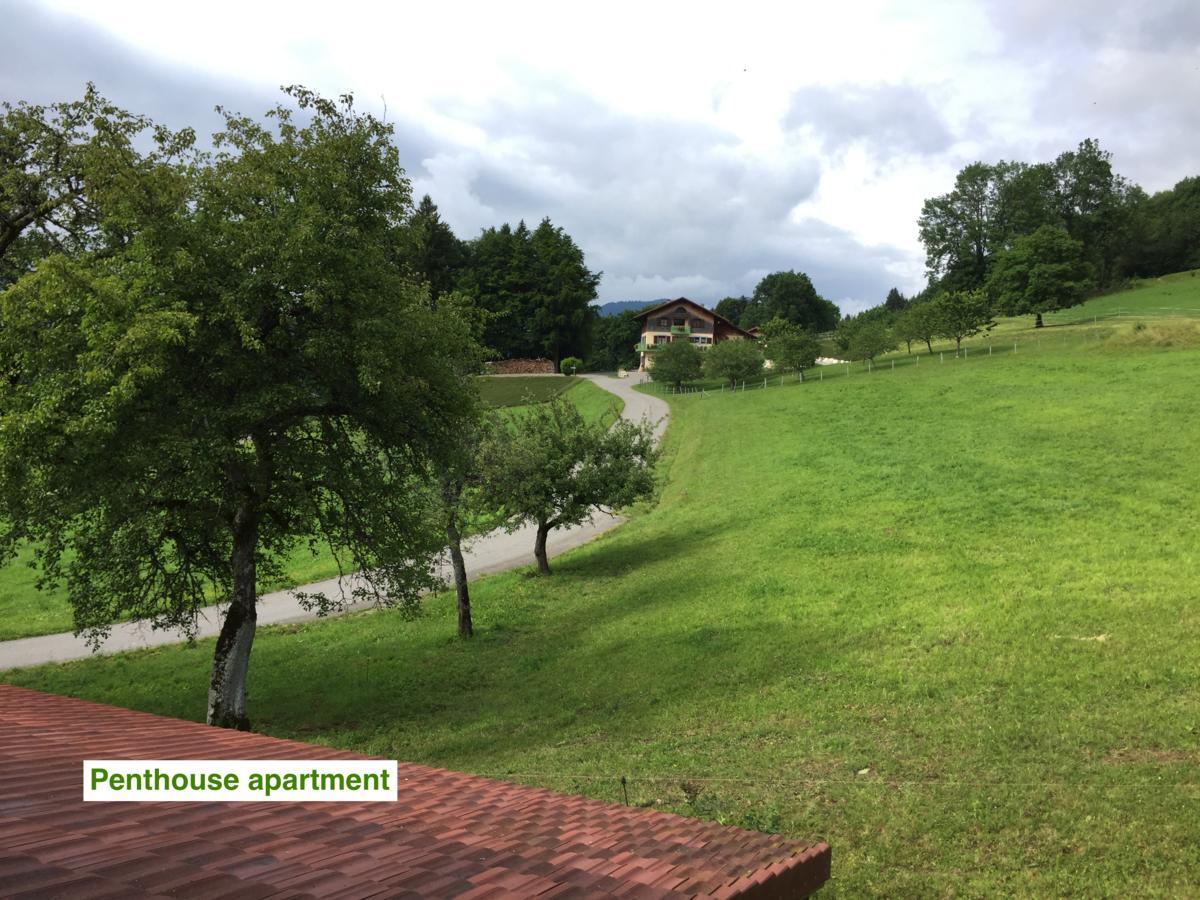 Le Green Chalet Villard-sur-Boege 외부 사진
